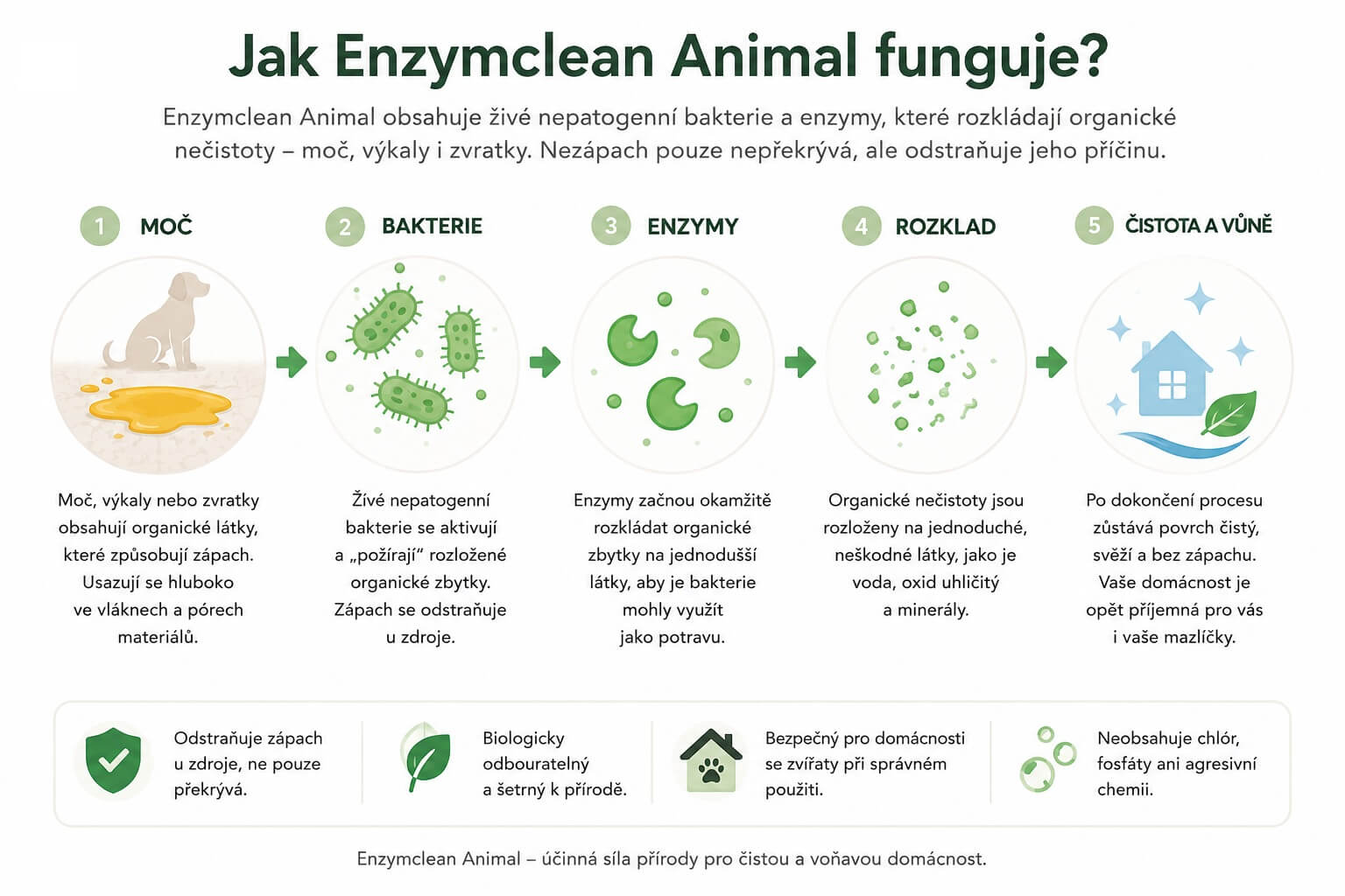 Jak funguje Enzymclean Animal (1)